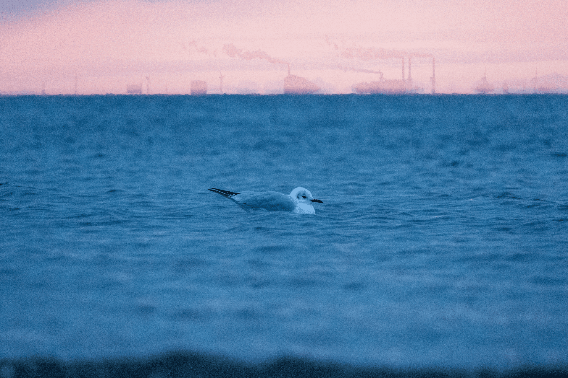 Malmö
